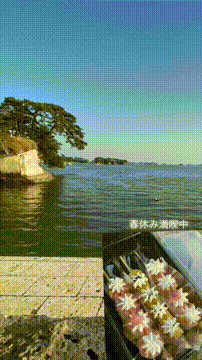 OCカメラサムネイル画像