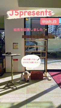 OCカメラサムネイル画像