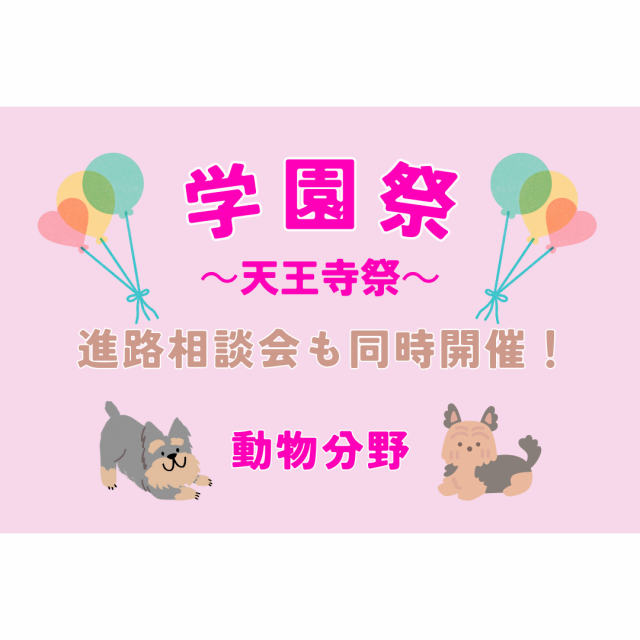 大阪動物専門学校天王寺校 学園祭 ~天王寺祭~1