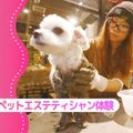 大阪ＥＣＯ動物海洋専門学校 ペットエステティシャン体験！