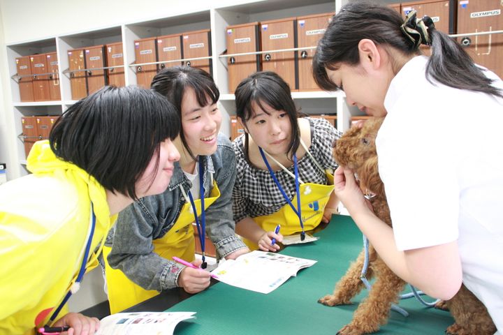 サブ画像