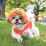 【スペシャル】わんことハロウィンパレード＆パーティの詳細