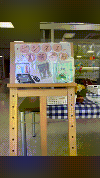 OCカメラサムネイル画像