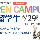 詳細を見る