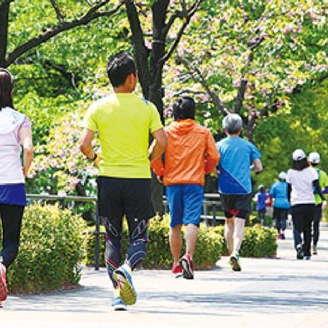 日本医学柔整鍼灸専門学校 柔道整復師×スポーツトレーナーになるには1