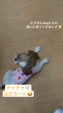 OCカメラサムネイル画像