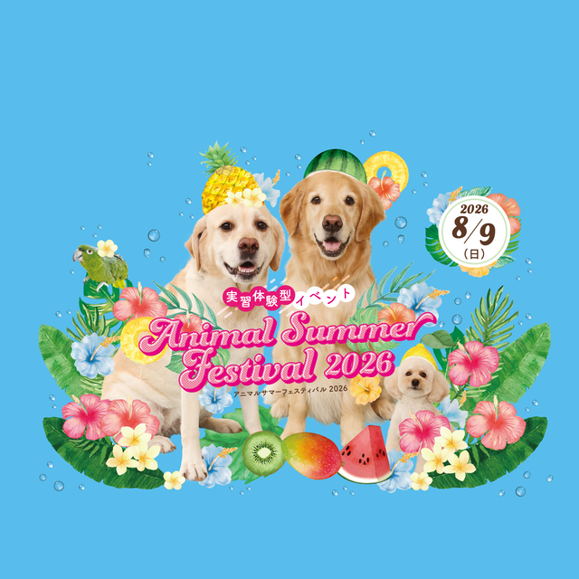 ヤマザキ動物看護専門職短期大学 Animal Summer Festival 20261