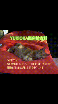 OCカメラサムネイル画像