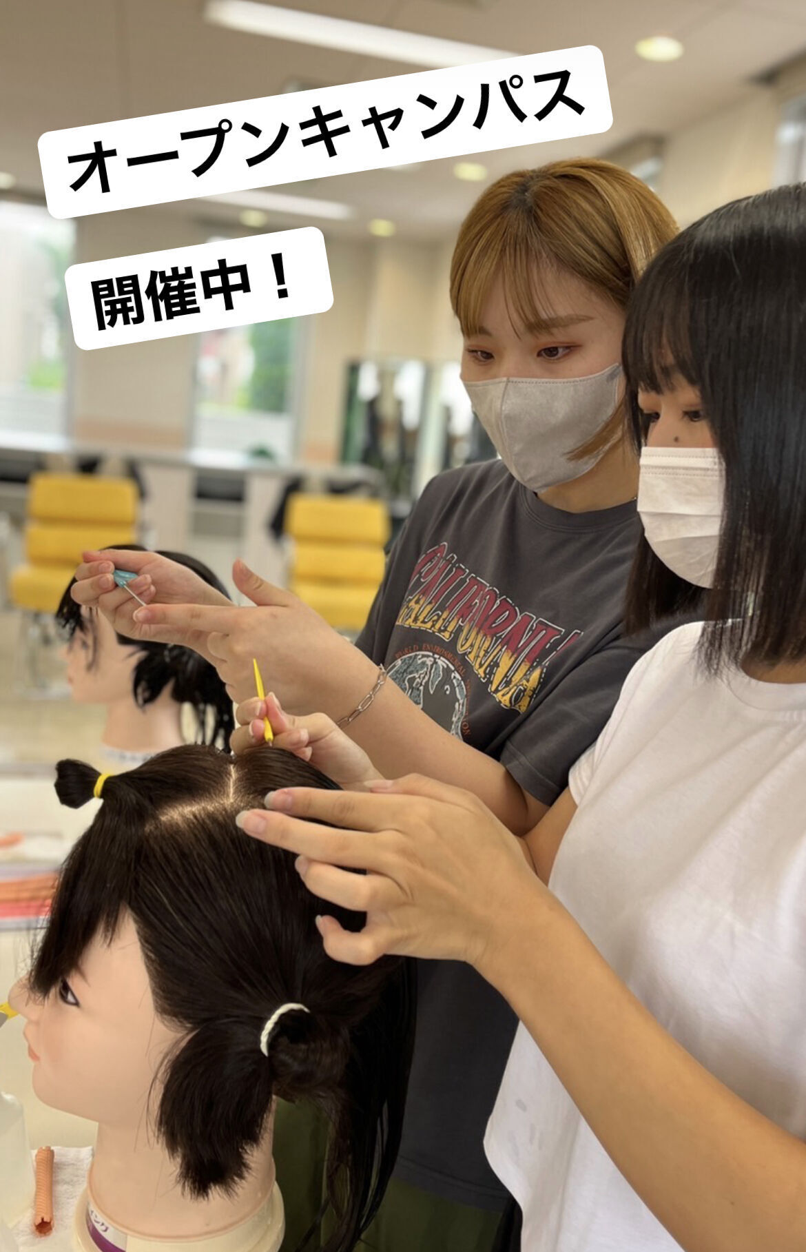 東北ヘアーモード学院 | 資料請求・願書請求・学校案内【スタディ