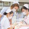 中央歯科衛生士調理製菓専門学校 体験実習とOG講話♪将来がイメージできるオーキャン