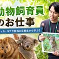 ＴＣＡ東京ＥＣＯ動物海洋専門学校 クオッカ・コアラ担当の卒業生から学ぶ！動物飼育員のお仕事