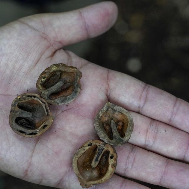 東京環境工科専門学校 『冬の哺乳類とフィールドサイン』体験授業を同時開催！2