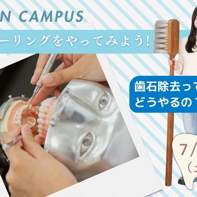 東京医学技術専門学校 【歯科衛生士/2時間】学生交流会開催！！（保護者様大歓迎）1