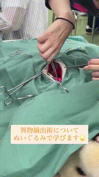 OCカメラサムネイル画像