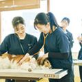 専門学校ビジョナリーアーツ ワンコの体重・体温チェックをしよう！