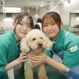 愛犬総合学科　独自の課程で犬のプロを目指せる学校の体験入学の詳細