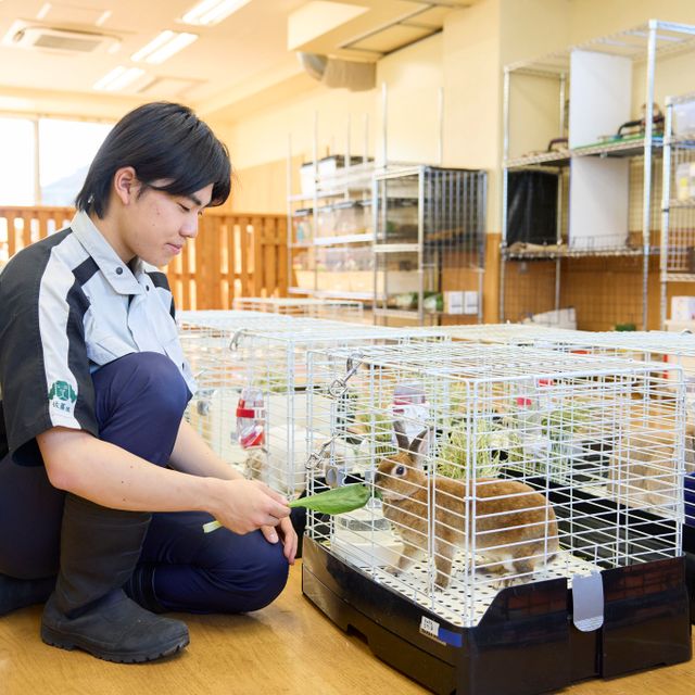 国際動物専門学校 学校説明会（選んだ学科を体験できる日）自然環境・動物飼育学科2