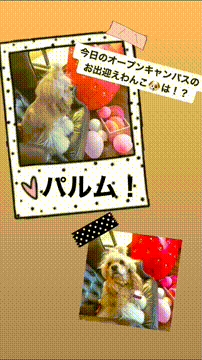 OCカメラサムネイル画像