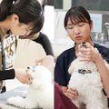 専門学校　福岡ビジョナリーアーツ 【ペット・看護】トリマー×動物看護師