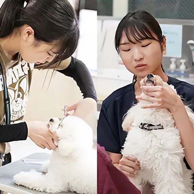 専門学校　福岡ビジョナリーアーツ 【ペット・看護】トリマー×動物看護師1