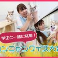 ＴＣＡ東京ＥＣＯ動物海洋専門学校 学生と一緒に挑戦！ワンニャンクイズ大会