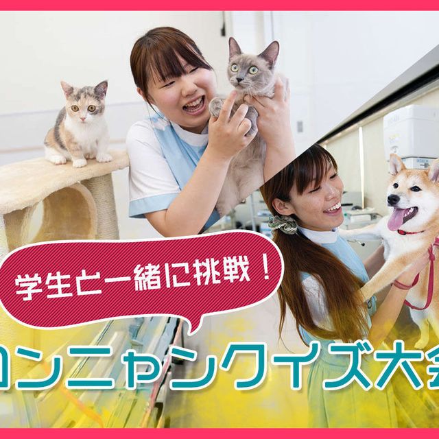 ＴＣＡ東京ＥＣＯ動物海洋専門学校 学生と一緒に挑戦！ワンニャンクイズ大会1