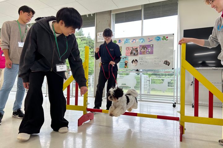サブ画像