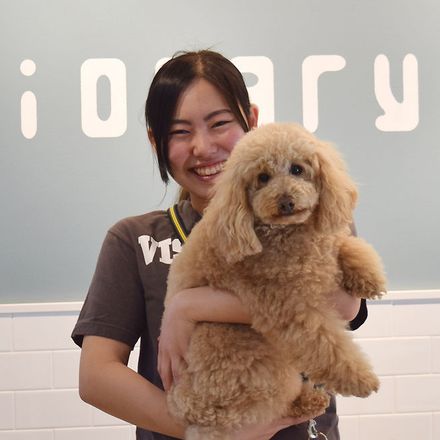 在校生レポート画像