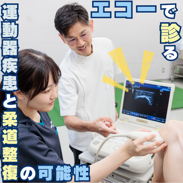 明治東洋医学院専門学校 エコーで診る運動器疾患と柔道整復の可能性1