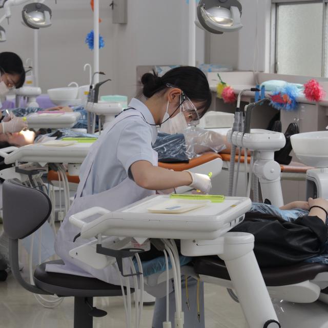 専門学校宮城高等歯科衛生士学院 歯科関連のお土産もあるよ！8月のオープンカレッジ2