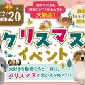 名古屋ＥＣＯ動物海洋専門学校 ☆★【高校１・２年生限定】クリスマスイベント★☆