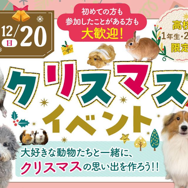 名古屋ＥＣＯ動物海洋専門学校 ☆★【高校１・２年生限定】クリスマスイベント★☆1