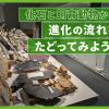ＴＣＡ東京ＥＣＯ動物海洋専門学校 化石と飼育動物から、進化の流れをたどってみよう！