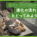 ＴＣＡ東京ＥＣＯ動物海洋専門学校 博物館ができるまで