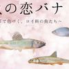 東京環境工科専門学校 『魚の恋バナ 』体験授業を同時開催！