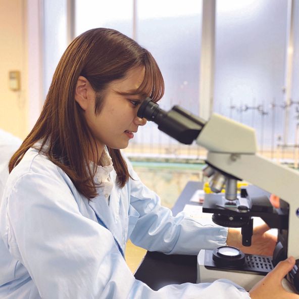 東海学院大学 資料請求 願書請求 学校案内 スタディサプリ 進路