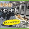 ＴＣＡ東京ＥＣＯ動物海洋専門学校 博物館のお仕事体験～東京ECOの博物館で実践してみよう～