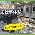 ＴＣＡ東京ＥＣＯ動物海洋専門学校 博物館のお仕事体験～東京ECOの博物館で実践してみよう～