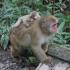 東京環境工科専門学校 『動物の行動を調べる』体験授業を同時開催！2