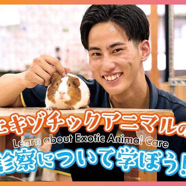 ＴＣＡ東京ＥＣＯ動物海洋専門学校 エキゾチックアニマルの診察について学ぼう！1