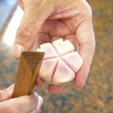 スペシャル体験DAY！講習授業体験！和菓子の詳細