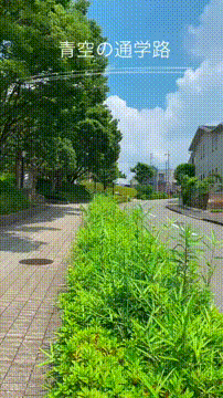 OCカメラサムネイル画像