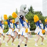 \7月開催/夏季オープンキャンパスの詳細