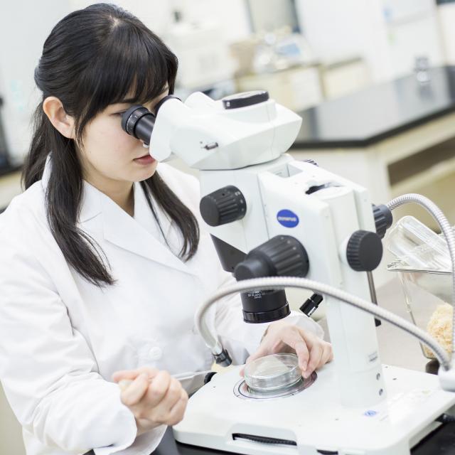 東京バイオテクノロジー専門学校 【バイオ医薬品】オープンキャンパス：コース体験2