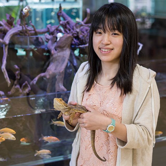 東京コミュニケーションアート専門学校 爬虫類お仕事まるわかり特別講座1