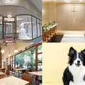 【ウェディング】Vaまるごと見学ツアー★／専門学校　福岡ビジョナリーアーツ