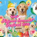 ヤマザキ動物専門学校 Animal Summer Festival 2026