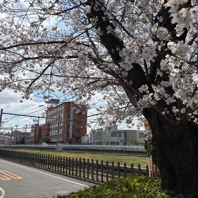 西武学園医学技術専門学校 【ゆるっと個別見学会】栄養士科　15分から対応可能2