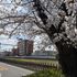 西武学園医学技術専門学校 【ゆるっと個別見学会】栄養士科　15分から対応可能2