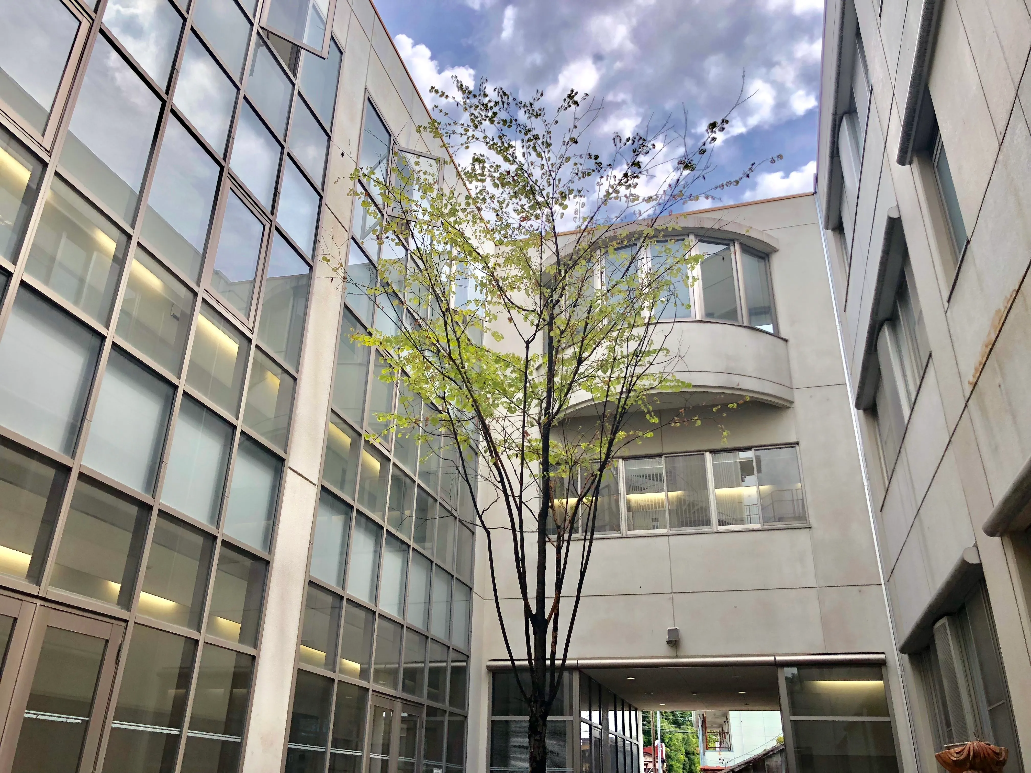 名古屋 産業 大学